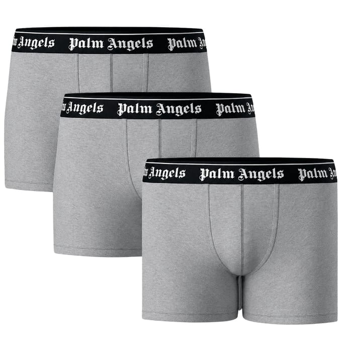 Logo Boxer Shorts in Lichtgrijs