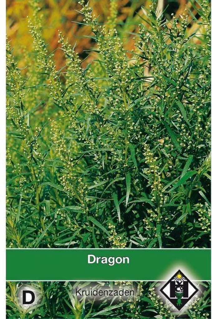 Van Hemert Zaden - Dragon (Artemisia dracunculus)