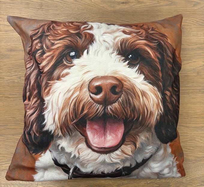 Labradoodle sierkussen 45 x 45 cm