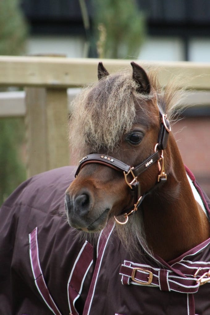 MHS Regendeken met fleece Glamour 125/155 cm Legergroen