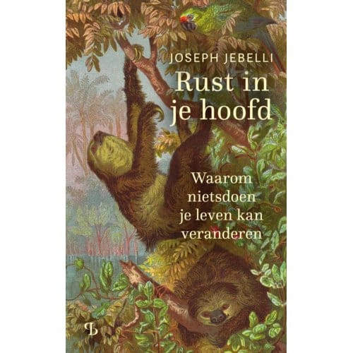 Rust In Je Hoofd - Joseph Jebelli
