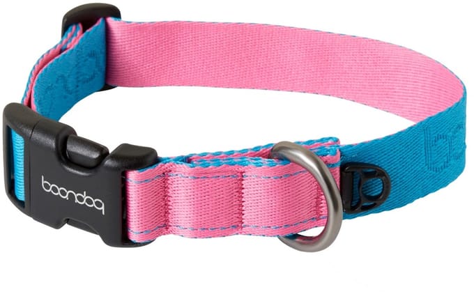Boondog - Original Collar - Aqua/Pink - M