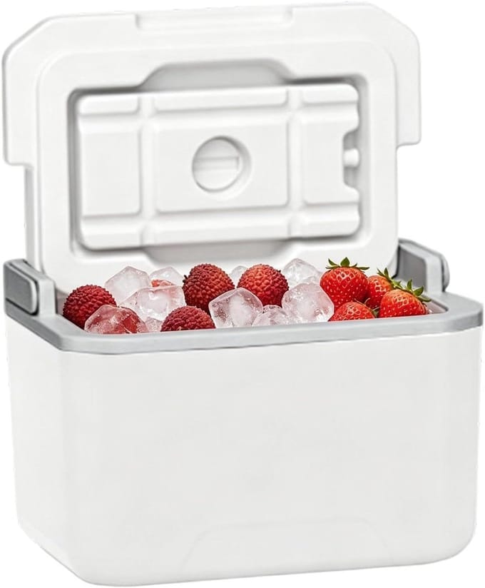 Draagbare Koelbox - Geïsoleerde Cooler Harde Case - Buitenactiviteiten - Lekvrij Ontwerp - 5L - Wit
