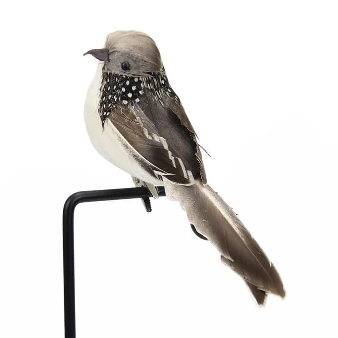 1PC Kunstveer Vogel Tuindecoratie Simulatie Schuim Vogel Nep Sparrow