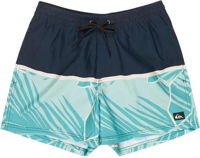 Quiksilver Everyday Poolsider 15´´ Zwembroek Blauw M Man