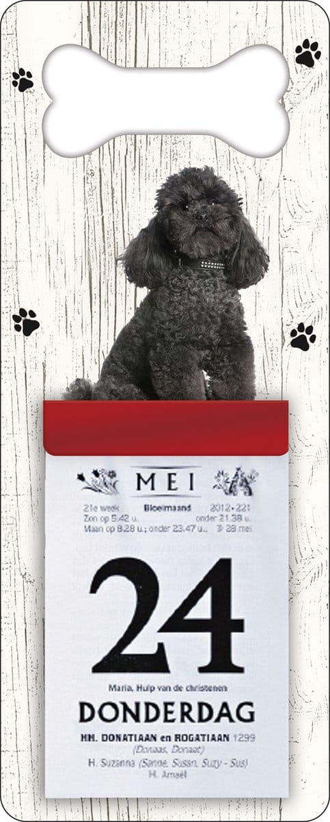 Scheurkalender 2027 Hond: Poedel zwart