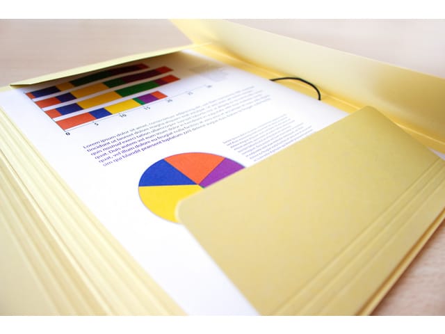 Elastomap Kangaro A4 300gr Krimp A 5 Stuks Assorti Kleuren