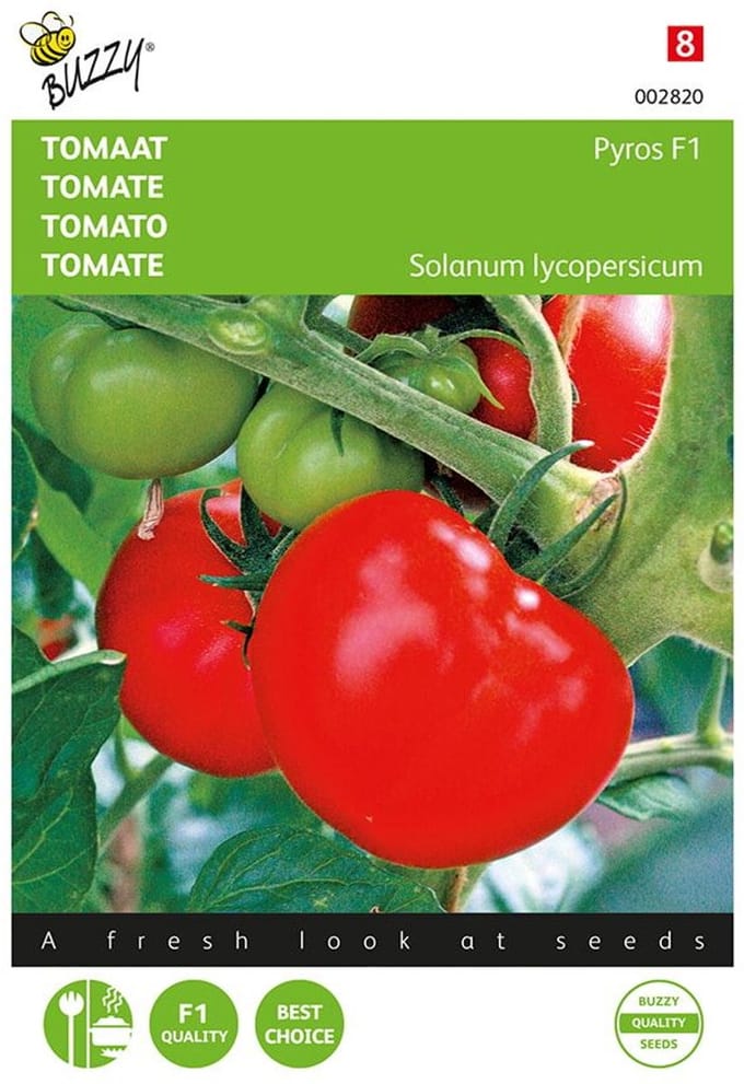 Buzzy - Tomaten Pyros F1 (Solanum lycopersicum)
