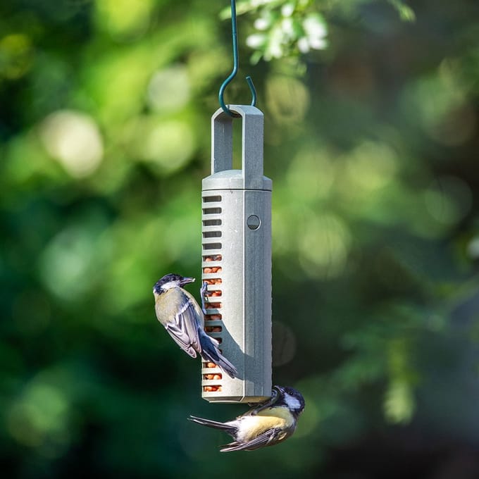 Esschert Design vogelhuis speelgoed met voer - educatief en creatief.
