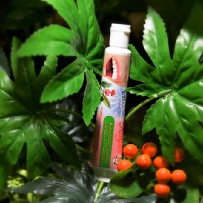 Rasyan - Extra White Herbal Clove Toothpaste With Aloe Vera & Guava Leaf Travel 30g