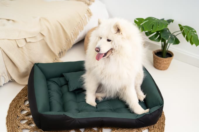 Lit pour chien imperméable ECCO, S M L XL XXL 3XL S - 55/45 cm noir