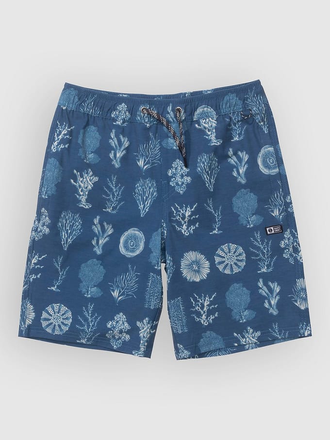 Salty Crew Crew Volley Kids Boardshorts blauw