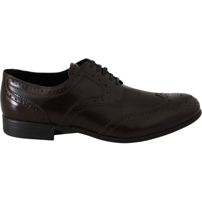 Dolce & Gabbana Vrouwen bruin leer Broques Oxford Wingtip Schoenen