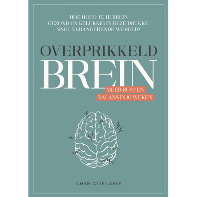 Overprikkeld Brein - Charlotte Labee