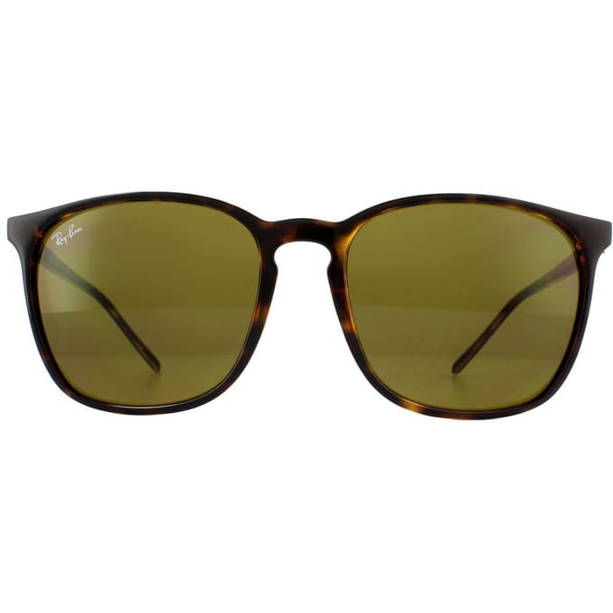 Ray-Ban Zonnebril RB4387 710/73 Schildpadshell Bruin