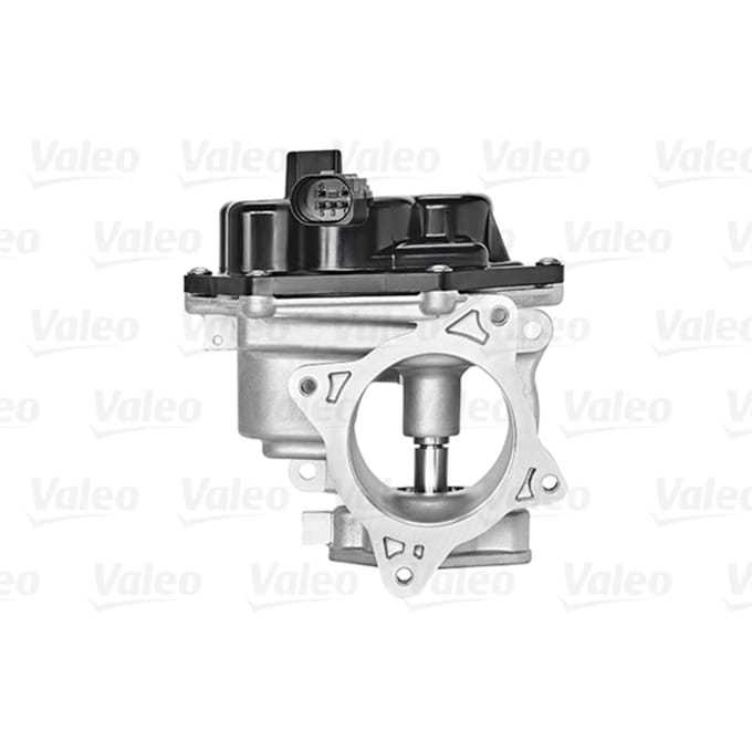 EGR klep VALEO 700448