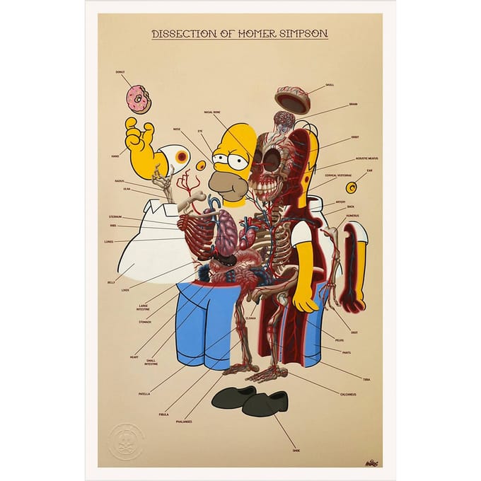 Nychos Dissection of Homer Simpson - Anatomy Kunstdruk patroon