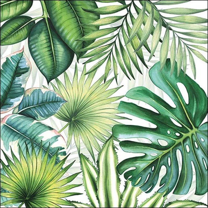 Papieren Servetten - Planten 33 x 33 cm