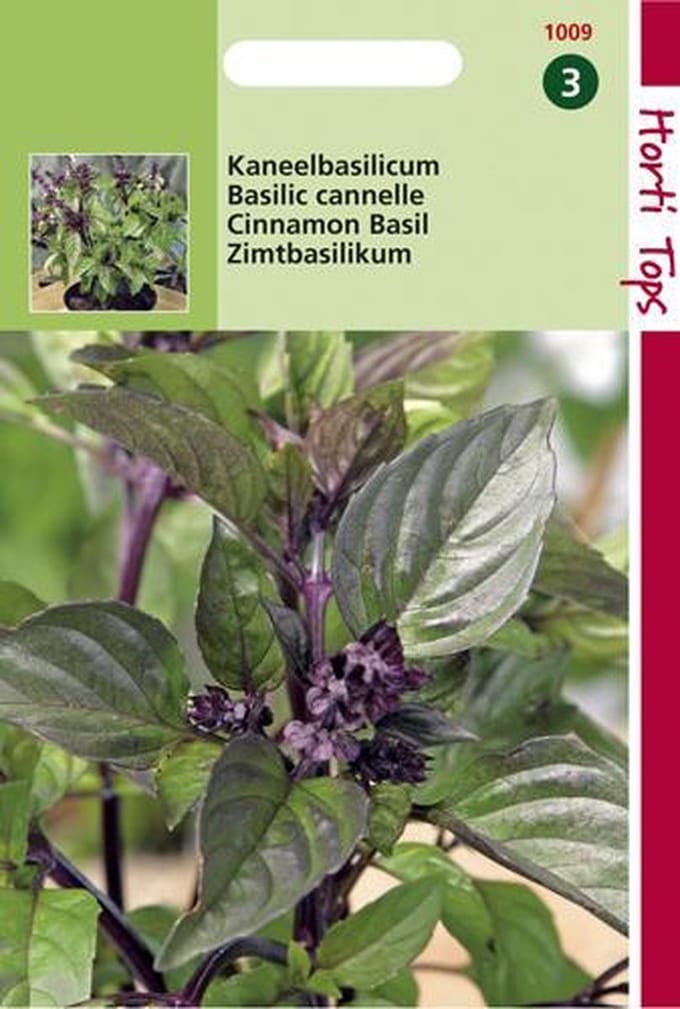 Hortitops Zaden - Basilicum Kaneelsmaak