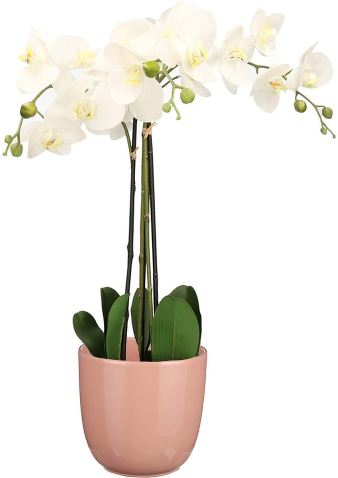 Orchidee kunstplant wit - 75 cm - inclusief bloempot lichtroze glans - Kunstbloemen in pot