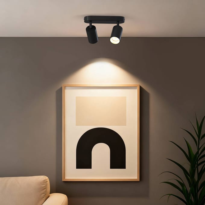 Calex Plafondlamp - 2-Lichts - Opbouwspot - Ovaal - Zwart - Goud