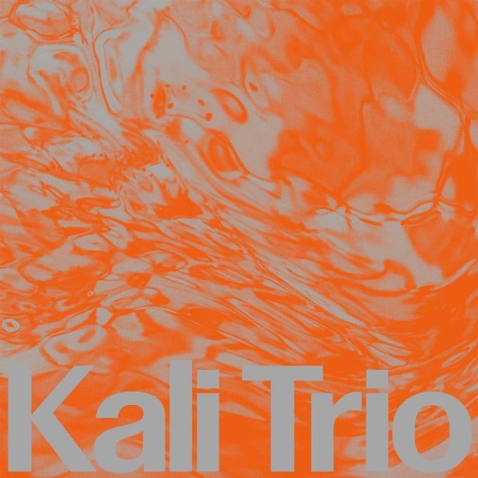 The Playful Abstract - Kali Trio