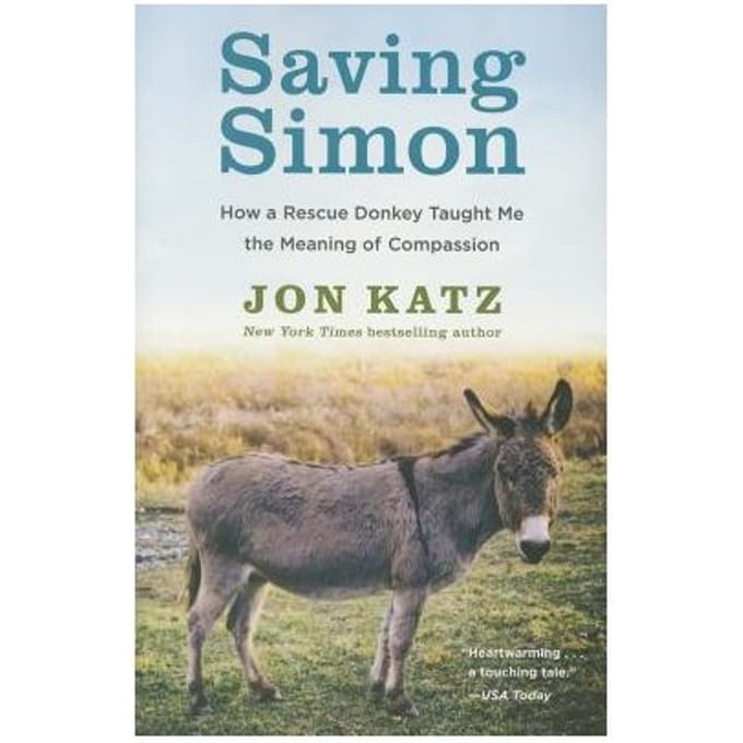 Saving Simon - Katz, Jon