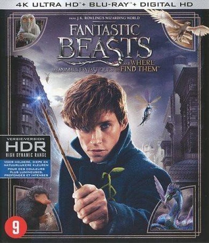 Fantastic Beasts And Where To Find Them (4K Ultra HD Blu-ray)