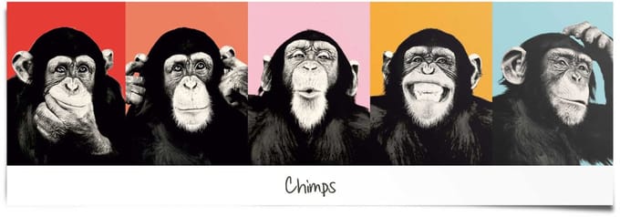 Poster Apen popart - 53 x 158 - Papier - REINDERS