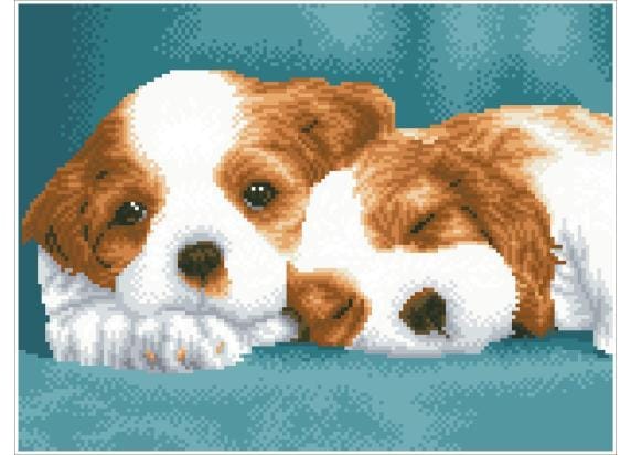 DIAMOND DOTZ Little Champs - Diamond Painting - 17.595 Dotz - 41x31 cm