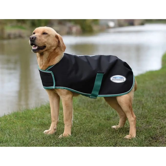 Hondendeken Weatherbeeta Green-Tec Lite Plus