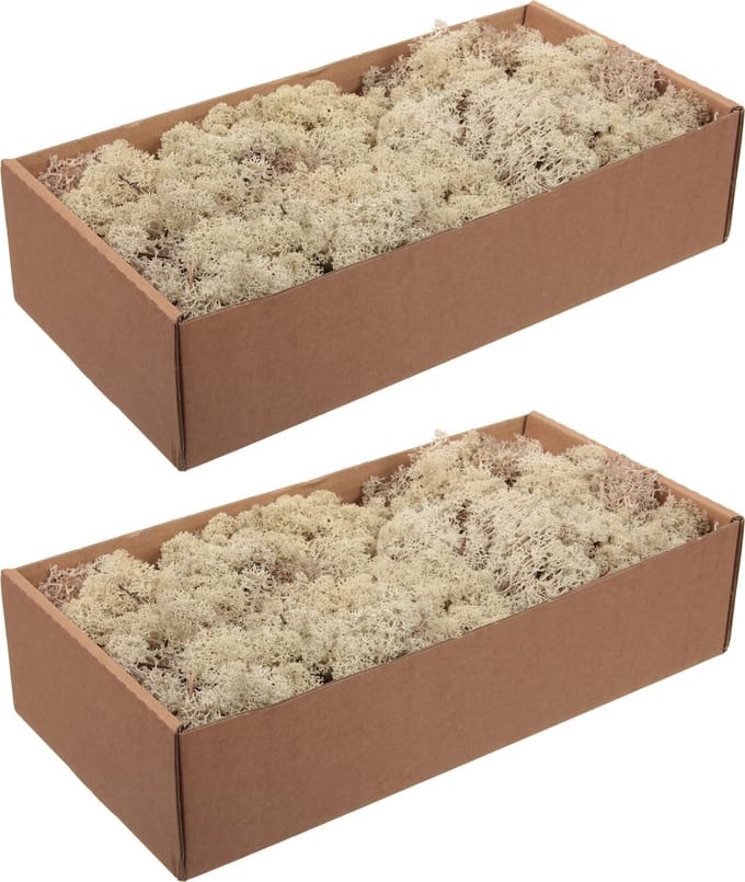 Othmar Decorations Decoratie/hobby Finlands mos - 2x stuks - naturel - 500 gram
