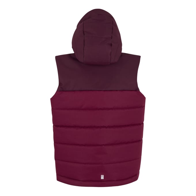 Regatta Lofthouse Bodywarmer voor kinderen/Kinderen (Vijg/Dark Pimento)