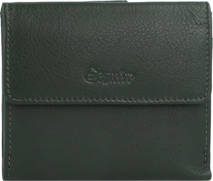 Esquire Viktoria Portemonnee RFID 10 cm - Dames - Horizontaal - grün