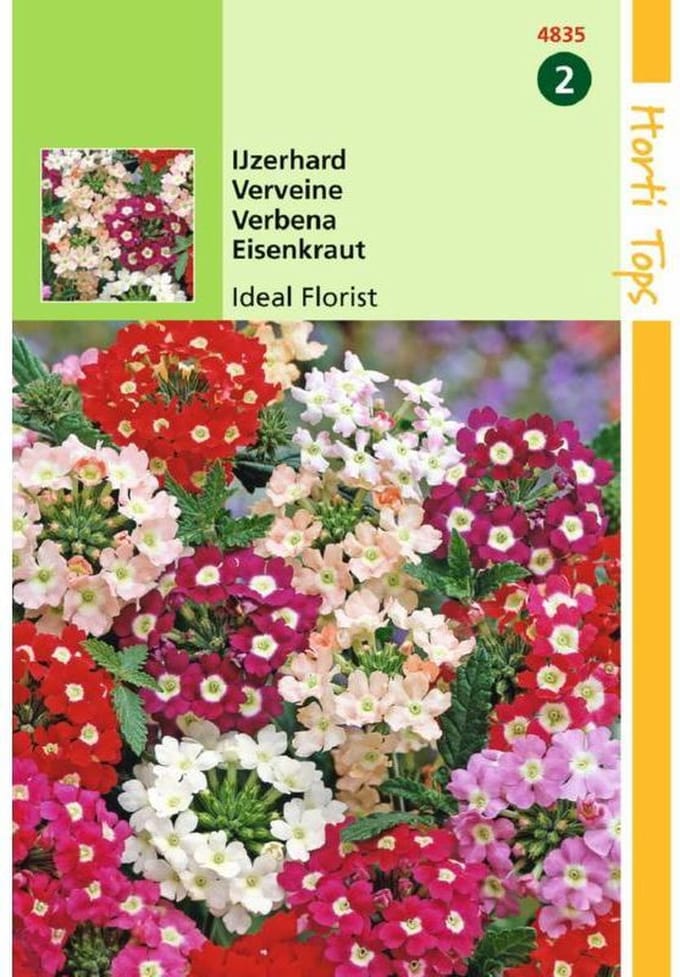 Ijzerhard Bloemzaad - Ideal Florist - Gemengd
