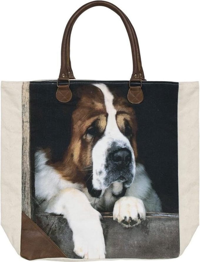 Shopper Canvas Gekleurd Katoen 40x44x12cm
