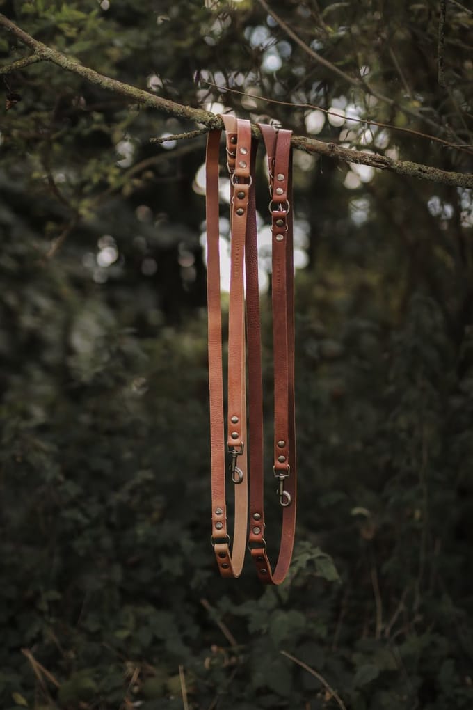 Cooper & Quint Switch Verstelbare Leren Hondenriem - Bruin - 2cm - Oud Messing