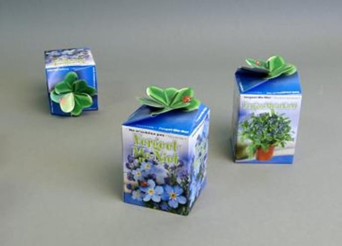 Greengiftdoosje per 10 stuks Vergeet me nietje
