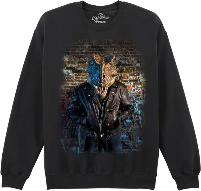 Dino Nas T-Rex The Coloured House Sweater S