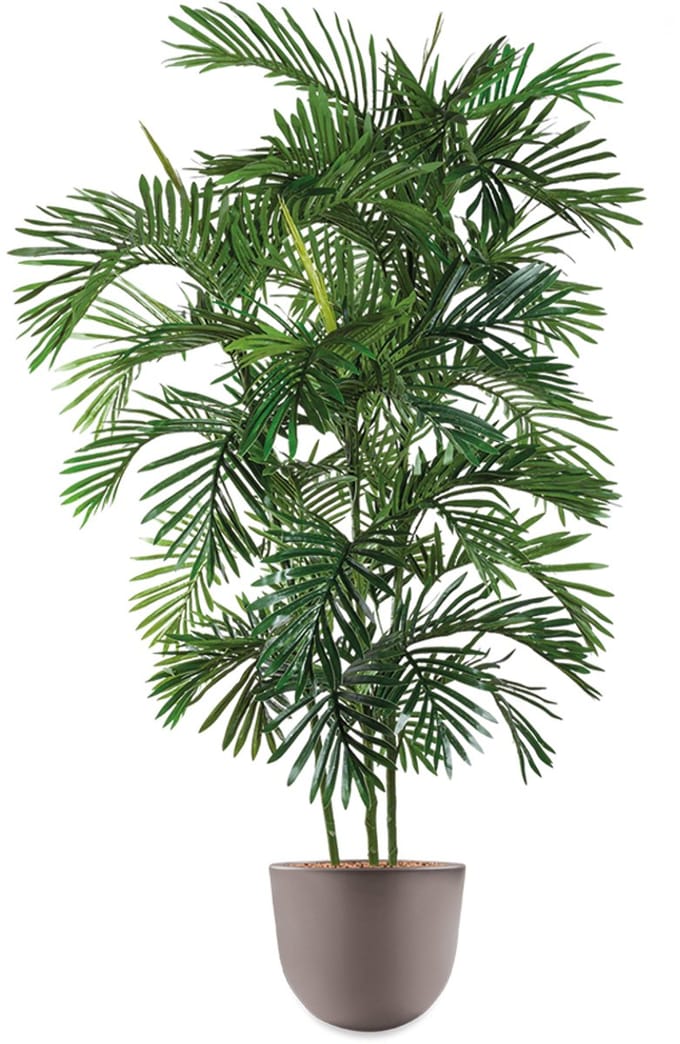 HTT - Kunstplant Areca palm in Eggy taupe H175 cm