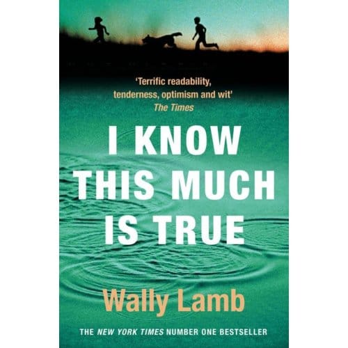 I Know This Much Is True - Wally Lamb