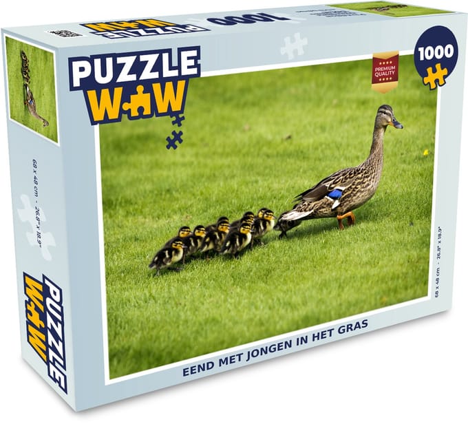 Puzzel Eend met jongen in het gras - Legpuzzel - Puzzel 1000 stukjes volwassenen