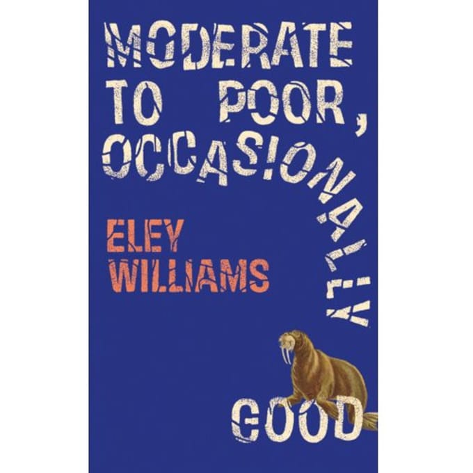 Moderate To Poor, Occasionally Good - Eley Williams