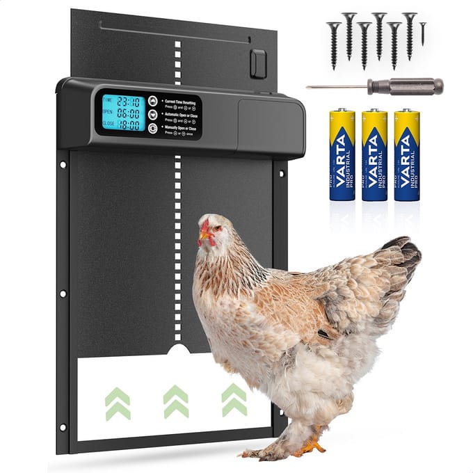 FAVE® Kippenluik ProGuard - Timer - Automatisch - Chickenguard - Kippendeur - Kippenhok - Kippenren - Hokopener