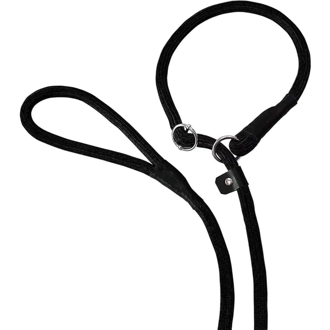 Halsband en riem voor honden Nobby Pet Fun Uni
