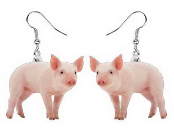 Oorbellen Biggetjes