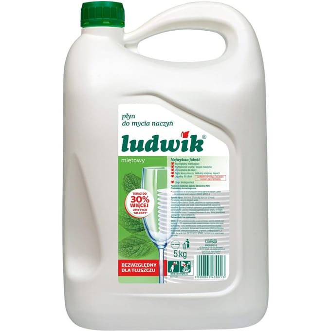 Ludwik Afwasmiddel 5L Munt