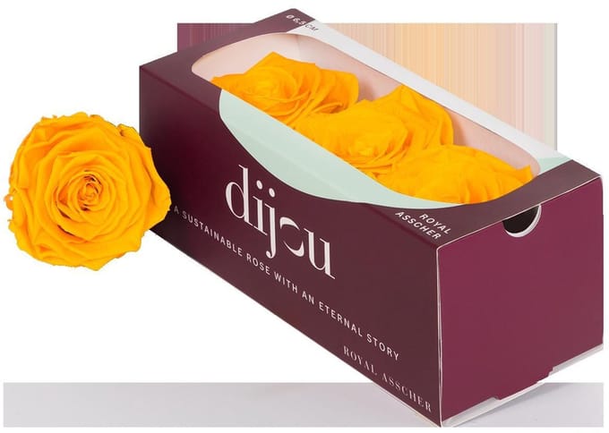 3x Dc pres.rozen gold yellow