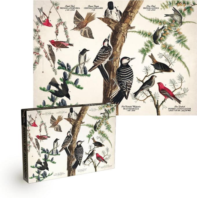 Penny Puzzle (1000st) Birds ofAubudon