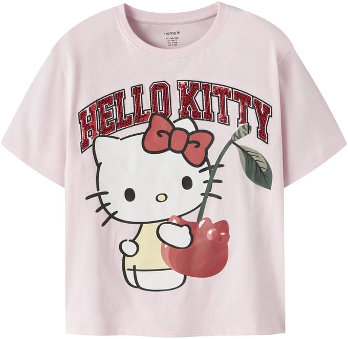 NAME IT - NKFARINA HELLOK SS NREG TOP BOX SKY - Meisjes - T-shirts